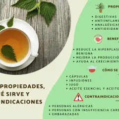 Té de ortiga en taza, destacando sus propiedades digestivas, antiinflamatorias y analgésicas.