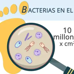 Bacterias en el pie, ¡causantes del olor! Magnificación muestra 10 millones por cm².
