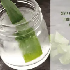 Hoja de aloe vera en un frasco con agua, ideal para aliviar el dolor de las quemaduras.