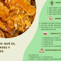 Propolis: qué es, sus propiedades antisépticas, antiinflamatorias y beneficios para el sistema inmunológico.