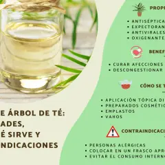 Aceite de árbol de té: sus propiedades antisépticas y antivirales lo hacen útil para afecciones de la piel y descongestionar pulmones.