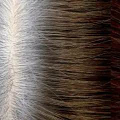 Cabello con raíces grises visibles, mostrando el tiempo entre tinte y tinte sin amoniaco.