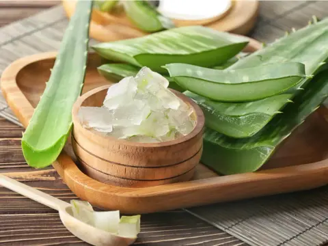 Aloe vera en el pelo - beneficios, uso y precauciones