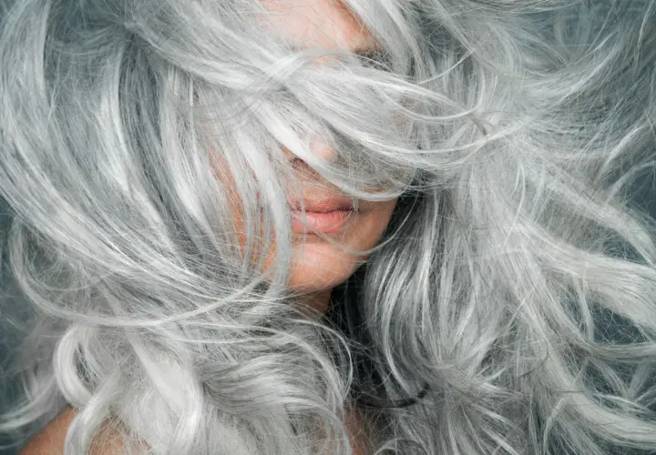Una mujer con una cascada de cabello plateado, mostrando la belleza de la transición a canas.
