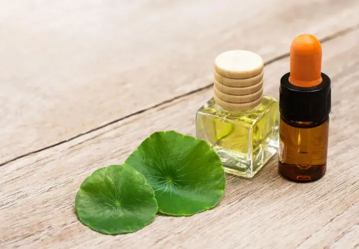 Aceite de centella asiatica, mostrando sus propiedades curativas en frascos y hojas verdes sobre madera.