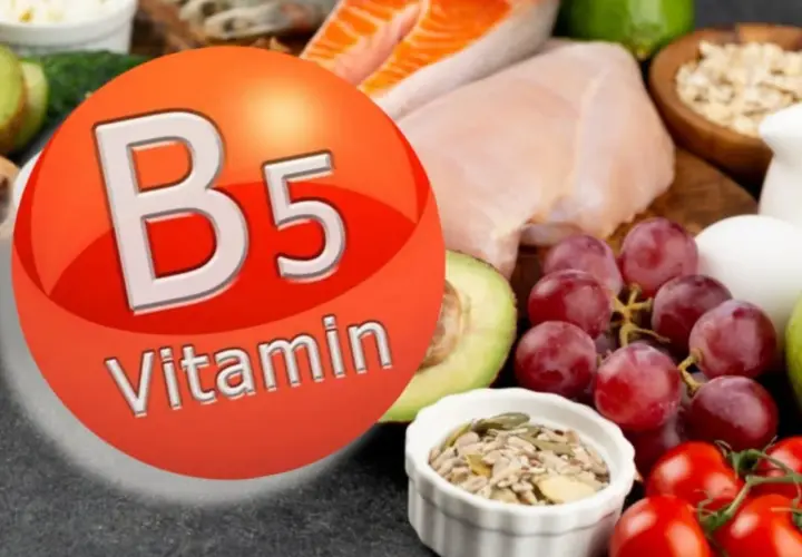 Descubre para qué sirve la vitamina B5 con alimentos como salmón, pollo, aguacate y uvas.