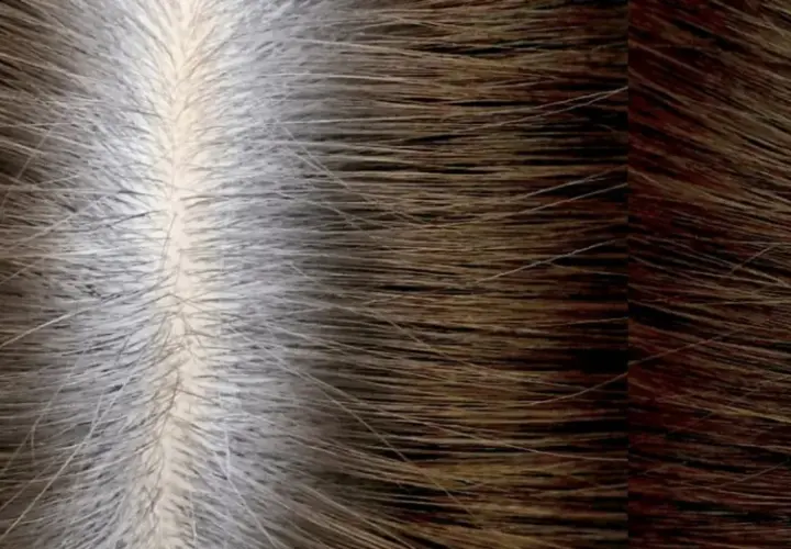 Cabello con raíces grises visibles, mostrando el tiempo entre tinte y tinte sin amoniaco.