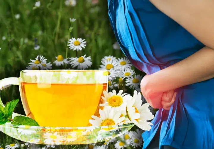 Té de manzanilla con menta, rodeado de flores. Una persona con dolor abdominal se alivia con los beneficios de la manzanilla.