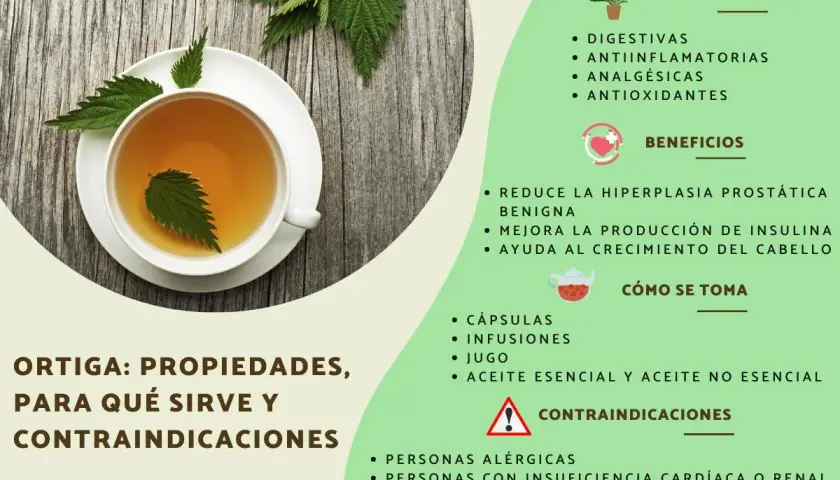 Té de ortiga en taza, destacando sus propiedades digestivas, antiinflamatorias y analgésicas.