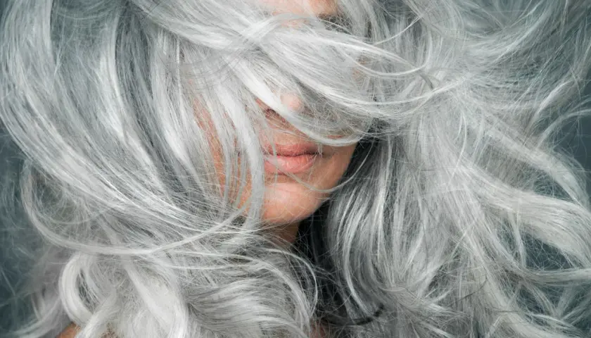 Una mujer con una cascada de cabello plateado, mostrando la belleza de la transición a canas.