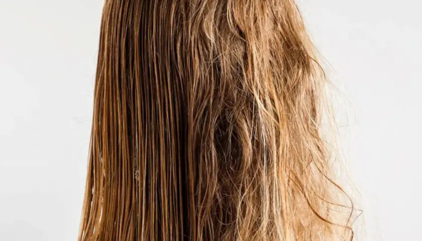 El cabello mojado de la izquierda contrasta con el pelo estropajo de la derecha, mostrando la diferencia entre hidratación y sequedad.