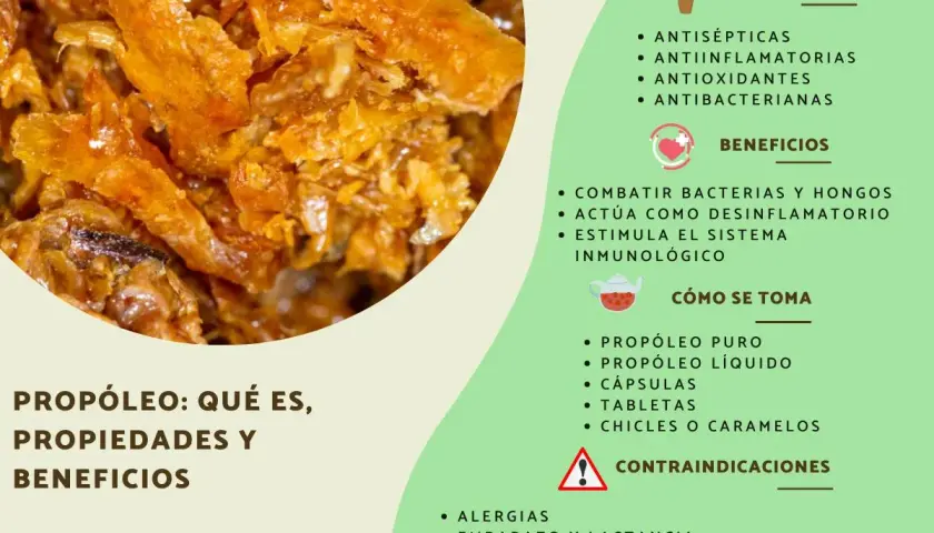 Propolis: qué es, sus propiedades antisépticas, antiinflamatorias y beneficios para el sistema inmunológico.