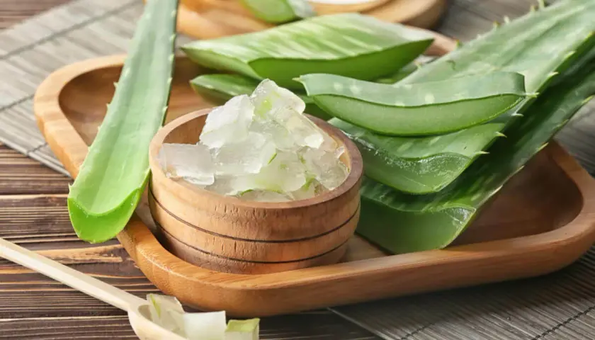Gel de aloe vera en un cuenco de madera, junto a hojas cortadas. Ideal para el cuidado del aloe vera en el pelo.
