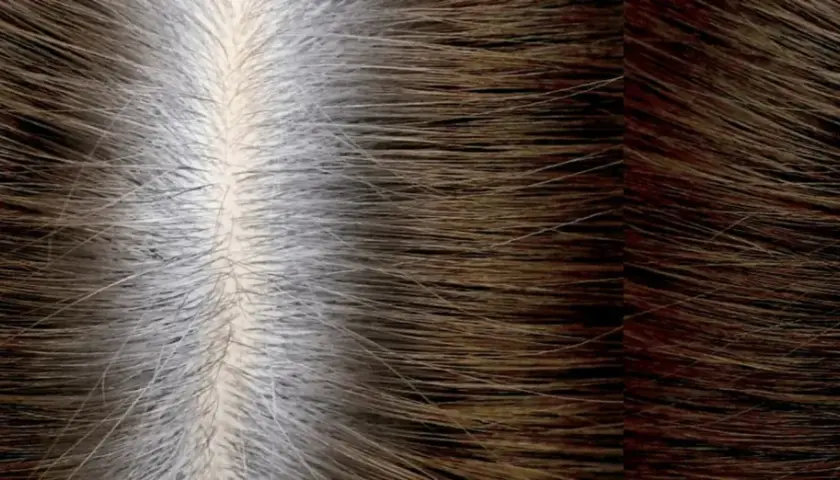 Cabello con raíces grises visibles, mostrando el tiempo entre tinte y tinte sin amoniaco.