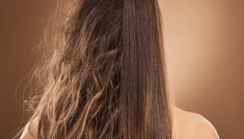 Cabello partido y seco a la izquierda, liso y sedoso a la derecha. El **pelo deshidratado** se transforma.