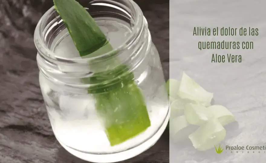 Aloe vera para quemaduras leves - cómo aplicarlo bien