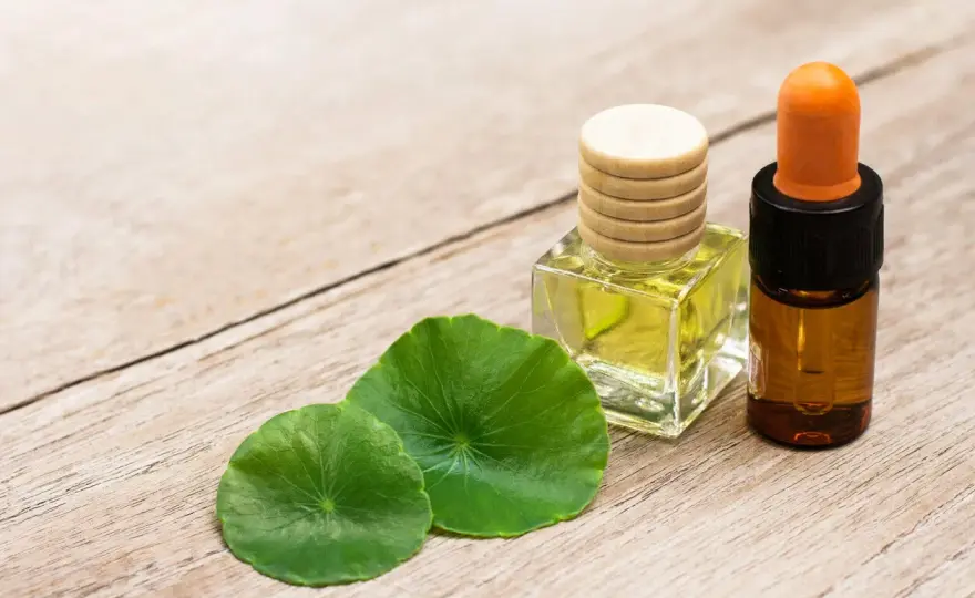 Centella asiática para la piel - beneficios y cómo usarla