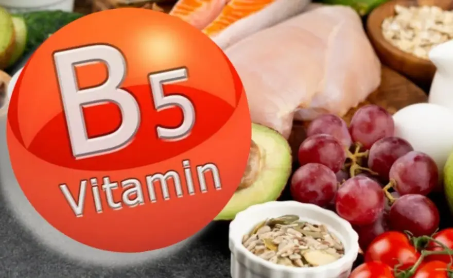 Vitamina B5, para qué sirve y cuándo necesitas más