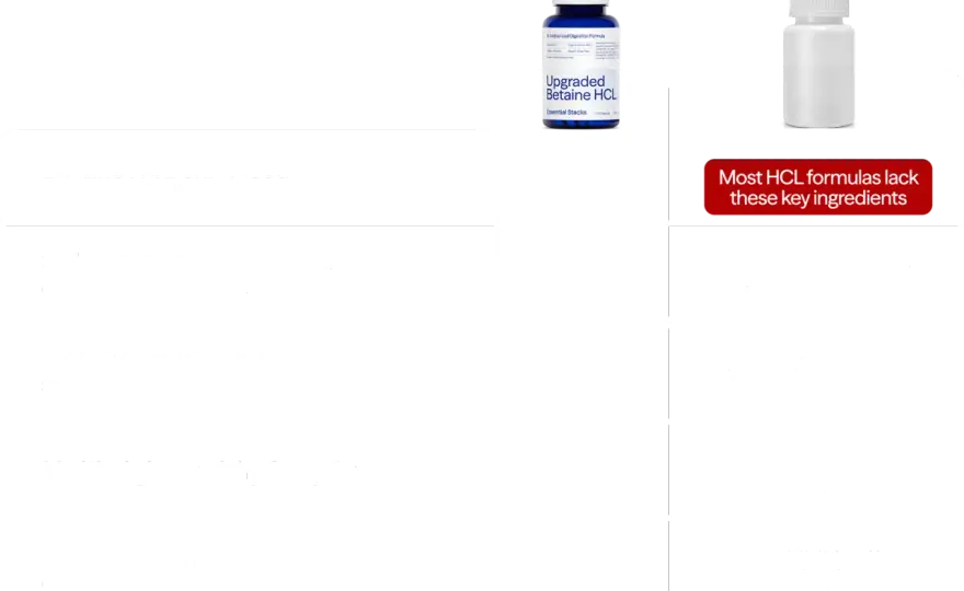 Betaína en alimentos, cosmética y suplementos - guía clara