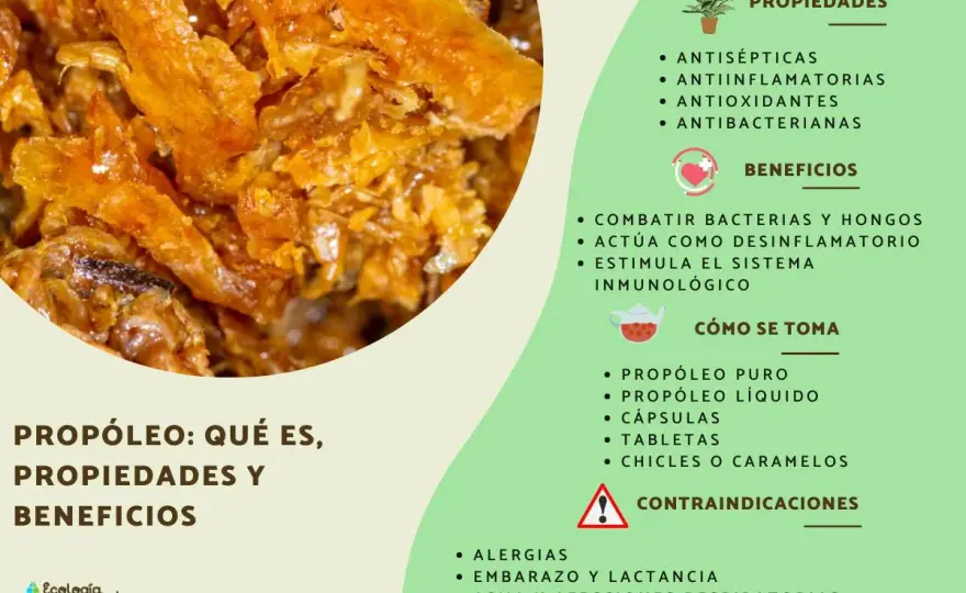 Propóleo - qué es, para qué sirve y qué precauciones tiene
