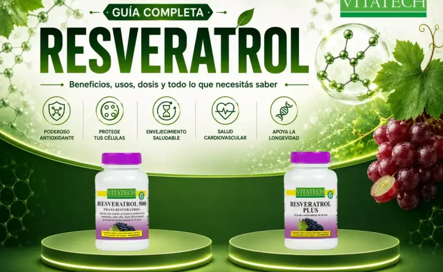 ¿Para qué sirve el resveratrol? Beneficios y precauciones