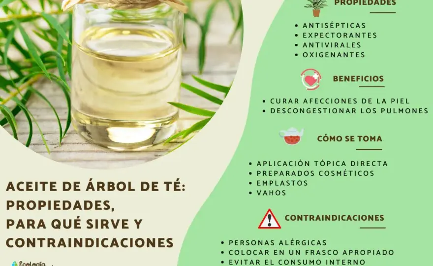 Aceite de árbol del té - para qué sirve y cómo usarlo