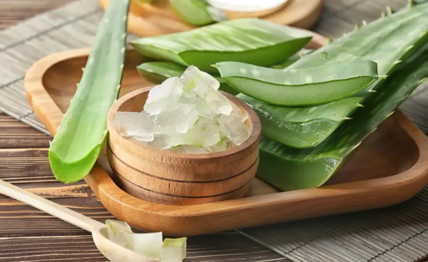 Aloe vera en el pelo - beneficios, uso y precauciones