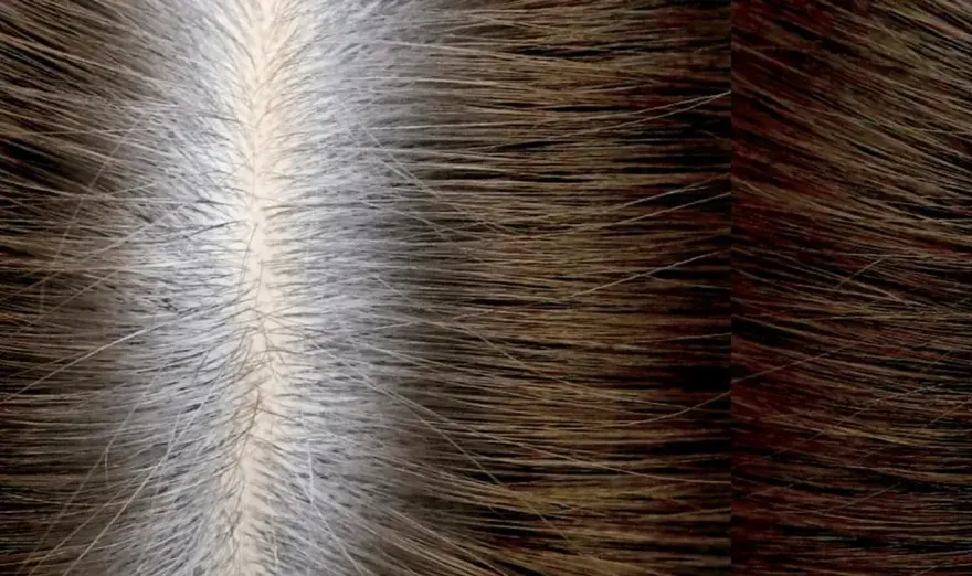 ¿Cuánto esperar entre tinte y tinte sin amoniaco?
