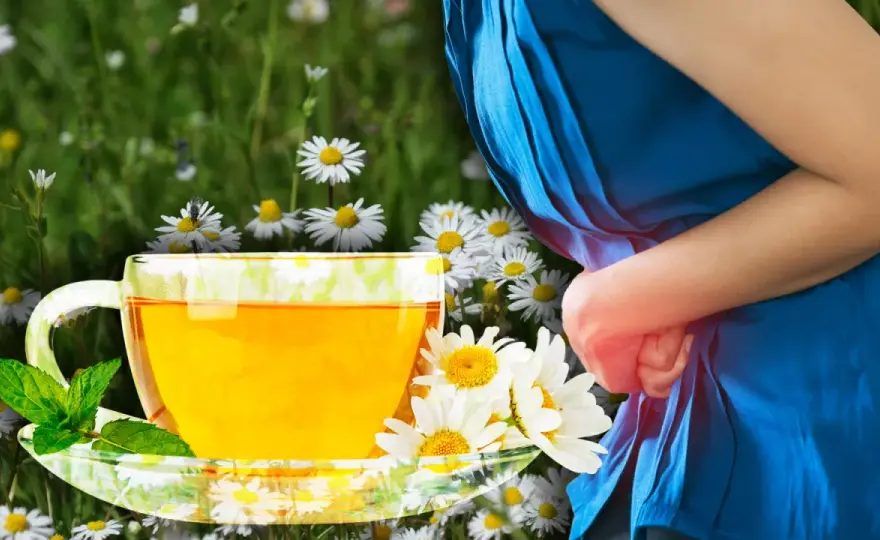 Beneficios de la manzanilla - usos, efectos y precauciones