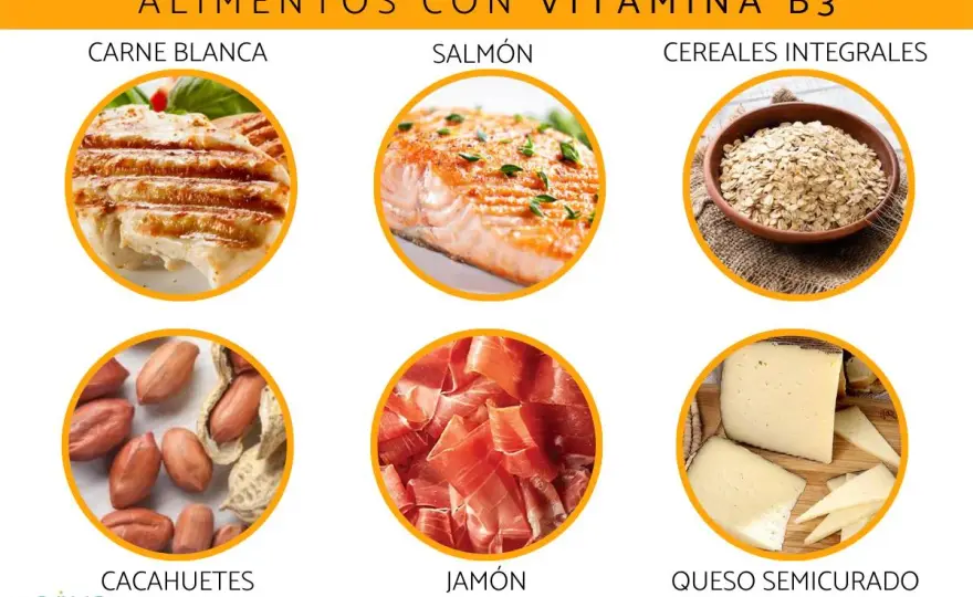 Vitamina B3 y niacinamida - beneficios, alimentos y precauciones
