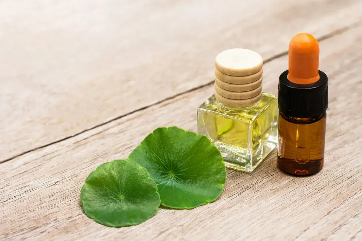 Aceite de centella asiatica, mostrando sus propiedades curativas en frascos y hojas verdes sobre madera.