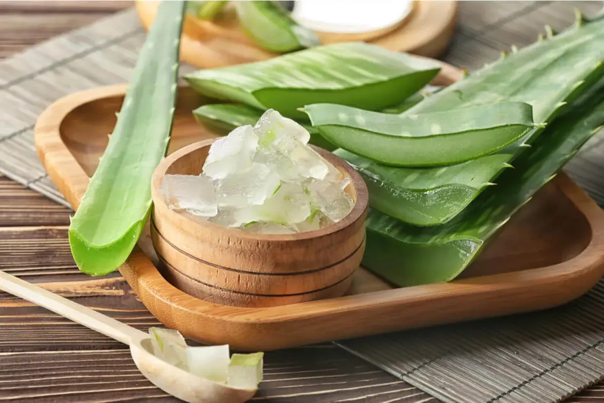 Gel de aloe vera en un cuenco de madera, junto a hojas cortadas. Ideal para el cuidado del aloe vera en el pelo.