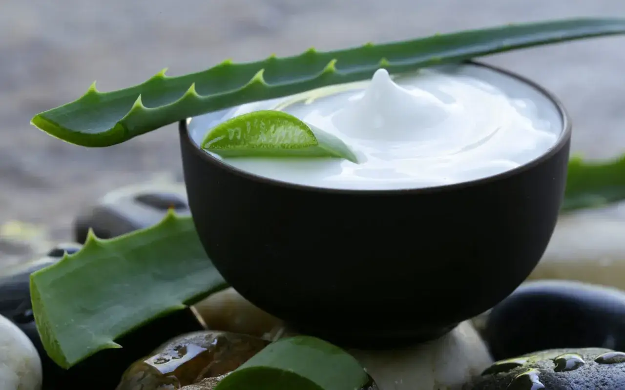 Crema blanca en un cuenco oscuro rodeada de hojas de aloe vera y piedras. Descubre para qué sirve el aloe vera en el cuidado de la piel.